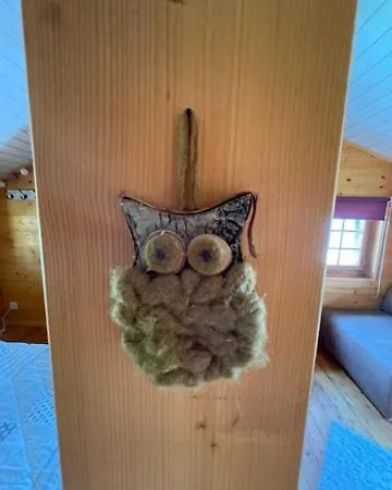 Mazot Jhr Unterbäch Vs Chalet *